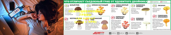 ALPHA-PVP Горно-Алтайск