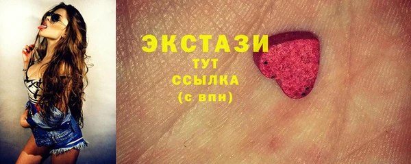 дмт Пересвет